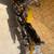 1995 Harley Davidson Sportster 3 thumbnail