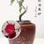 10 years old Bonsai Red Plum blossom without buds 5 thumbnail