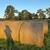 4x5 john deere net wrapped hay 2 thumbnail