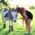 Mini Jenny Donkey 2 thumbnail