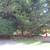 NICELY FURNISHED Bi-Level Townhome (END UNIT) Across from Ski Area 8 thumbnail