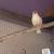 Birds cages 12 thumbnail
