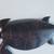 Vintage  Ironewood hand carved two turtle 2 thumbnail