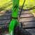 Kids 20" Specialized Hotrock bike 6-speed 5 thumbnail