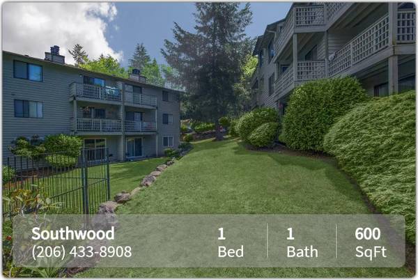 $1,500 / 1br - 600ft2 - Stylish spaces, vibrant community: Your new life starts here! (Seattle)63770753285761122