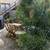 Beautiful 1/1 like a little house. Great Area in WeHo. HUGE! 10 thumbnail