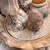Kwan Yin Table Top Fountain 9 thumbnail
