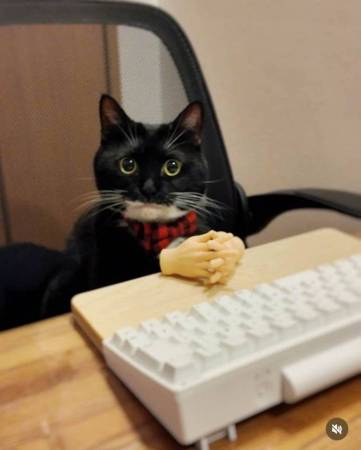 Office help wanted, no experience ok 1