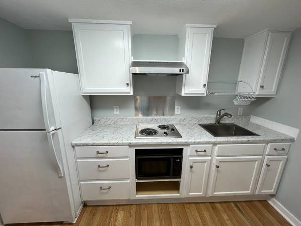 $725.00 / 1br - 320ft2 - 'Treehouse' Studio Apartment Near Spohn Shoreline64036538033794120