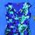 New Women's Dresses - Size 8 + 10 1 thumbnail