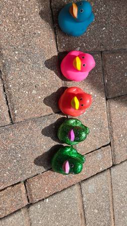 Rubber Ducks for Your jeep Dash,   9 - $5 (US 41 S fort Myers)62938478537601121
