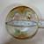 Vintage RS Hand Painted Plate Set — Made in Germany 2 thumbnail