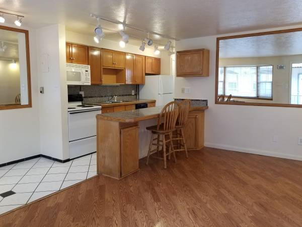 PRE-LEASE a 1 BD in a convenient SoBo location. Cats OK! (680-206) 1