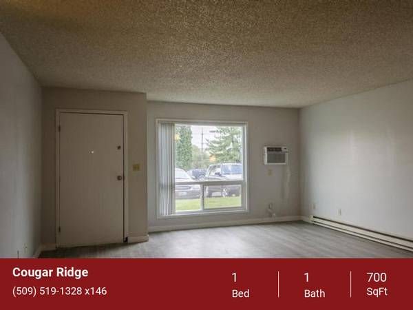 $1,099 / 1hab - 700ft2 - Unidades bien aisladas, ¡ideal para la factura de electricidad!, aire acondicionado (2024 NE Terre View Dr. Pullman, WA. 99163)63689276698497124