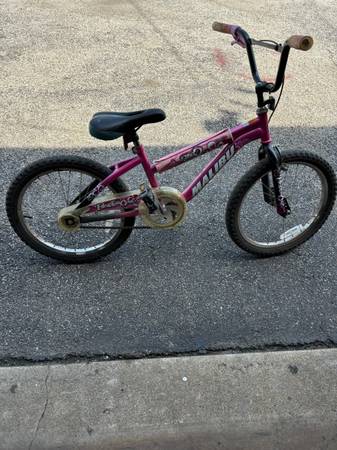 Purple Malibu Girls 20” Bike 1