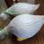 Vintage White Duck Shelf Sitter Ceramic Figurines 2 thumbnail