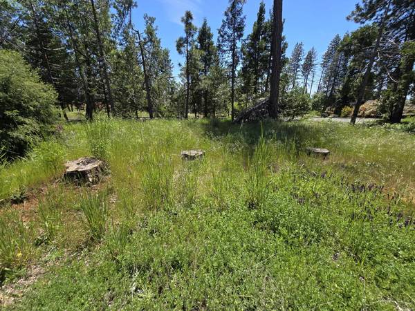 $35,000 Escape to Paradise Pines - Beautiful .26-acre corner lot on a quiet cu (Magalia)63900311969283124