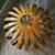 West Elm Mid-Century Modern Bent Wood Chandelier MCM Lighting Mod 2 thumbnail