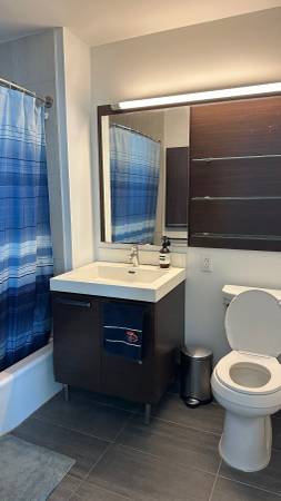 $4,200 / 1br - Luxury 1B/1B in Long Island City63809042499971121