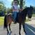 Registered Tennessee walker Stallion 5 thumbnail