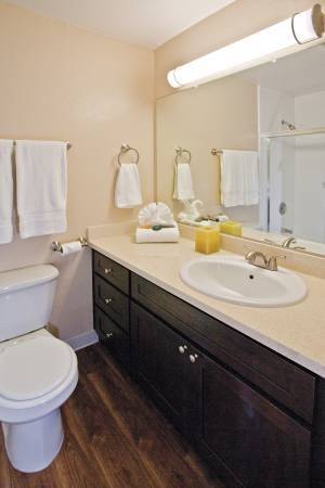 $3,700 / 2br - 810ft2 - , ¡Ubicado en Pacifica!, ¡2/hab! Únete a nuestra lista de espera! (pacifica)63861099930881124