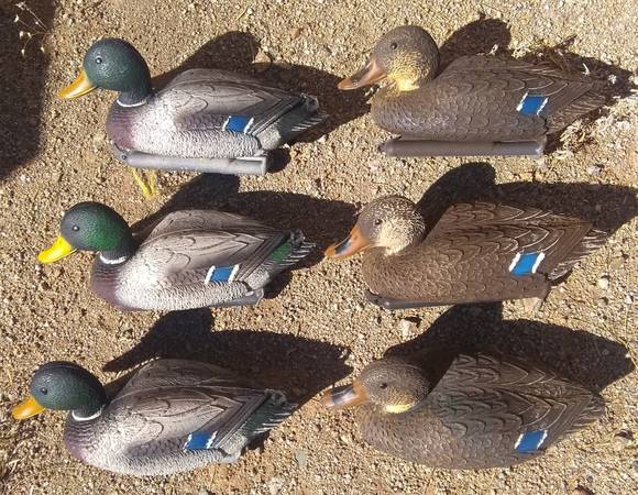 Floating Duck Decoys - Lot of 6 1