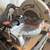 Craftsman 10” Miter Compound Saw W/Laser Trac & Custom Workbench 4 thumbnail