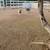 Acton Ranch Dog Boarding 6 thumbnail