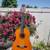 Alvarez Regent Classical Guitar 3 thumbnail