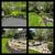 Landscaping, Lawn Mowing, Yard Clean up,  Trimming, Mulching 6 thumbnail