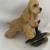 Blonde Cocker Spaniel Conversation Concepts-Dog Figurine Large DFL15C 1 thumbnail