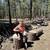 Massage (Outcall/incall) 1 thumbnail