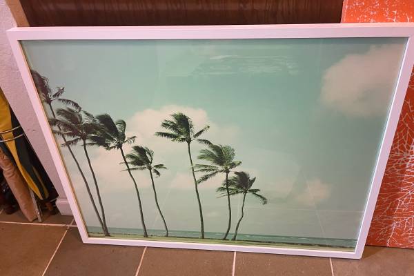 Professionally Framed Palm Tree Art 28x36” 1