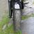 Auction (1691): 2009 Harley Davidson Night Rod 21 thumbnail