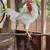 Roosters -- Gallos 2 thumbnail