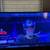 55” Insignia LED HDTV + Roku HD Ultra with voice remote 9 thumbnail