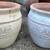 "Home" clay pots/planters 1 thumbnail