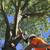 🌳 Austin Tree Trimming & Removal • Same Day Service • CALL NOW! 3 thumbnail