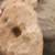 58-authenic native American artifacts 5 thumbnail