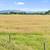 Over 20 Acres for Sale! 17 thumbnail