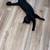 Cat 4 thumbnail