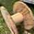 Wooden spools great for goats 1 thumbnail