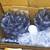 Bubble Wrap,Bubble Mailers, Wrapping Paper & 3 small Boxes 4 thumbnail