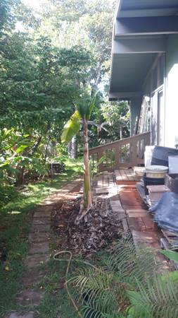 $1,650 / 3br - 300ft2 - Garden Master Bedrm w/pvt Bathrm (kahala Valley)63939788567554120