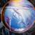 FRANKLIN MINT DOLPHIN PLATE 2 thumbnail