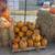 Pumpkin Patch 7 thumbnail