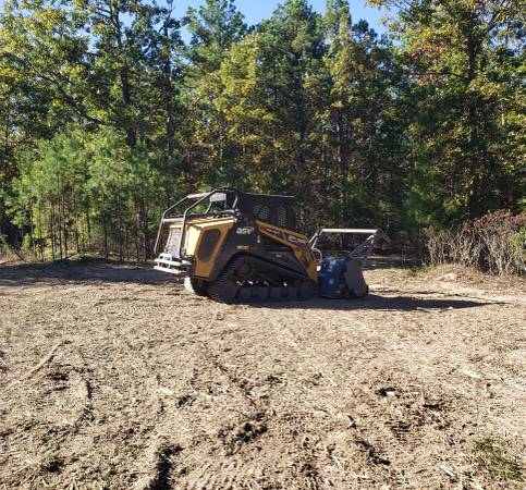 Diamond Down Tree cutting 1