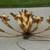 Vintage Mid Century Hollywood Regency Gilt 9 Arm Wall Light 2 thumbnail