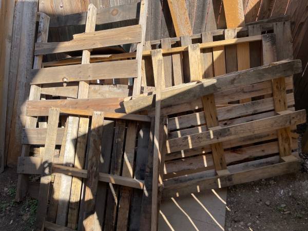 Pallets! Lots and lots of pallets! 1