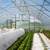 End of Season Greenhouse Kit Sale. Every frame has a 10 Yr Warranty! 3 thumbnail